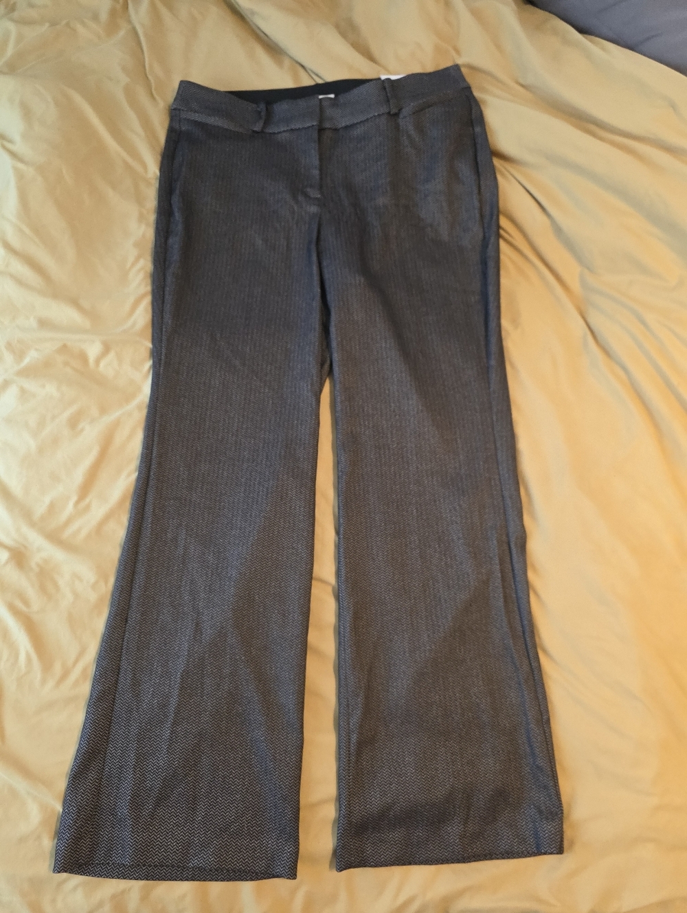 Lane Bryant Stretch Boot Pant With Chevron Pattern